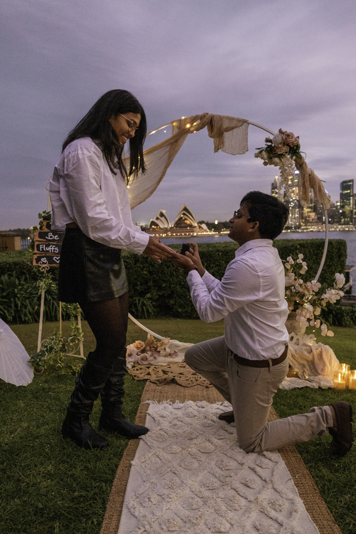 sydney harbour marriage proposal