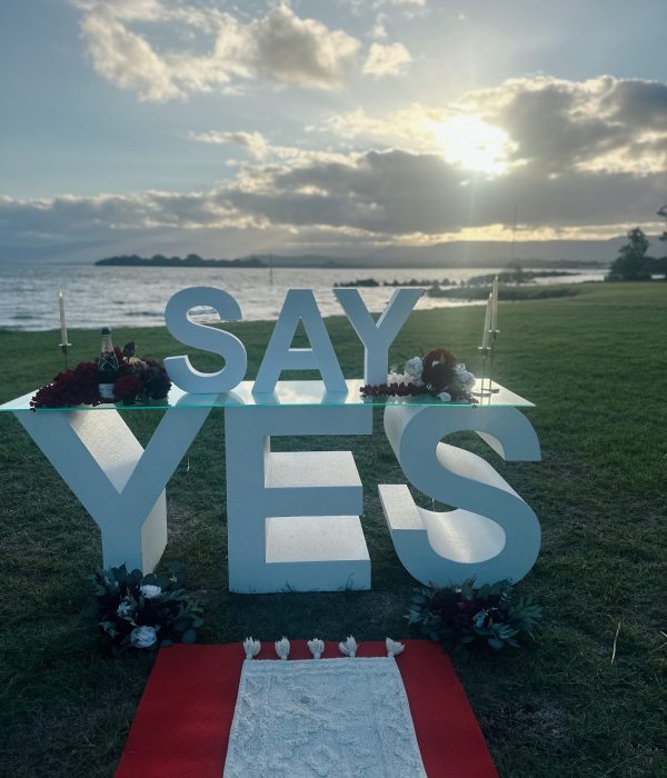 SAY YES PROPOSAL SET UP